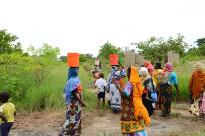 DSC_9604 (Large).JPG